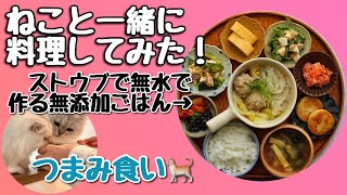 【無水調理】ねこと作るストウブ料理【まごわやさしい】