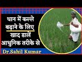 Fertilizer management in paddy crop। धान की फ़सल में खाद डालने का सही तरीका।Dr Sahil Kumar।