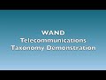 Telecommunications Taxonomy Demonstration