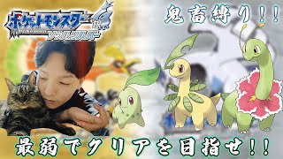 【ポケモンSS】カントー突入!超鬼畜縛り!!四天王戦!!最弱御三家でクリアを目指せ!! PART8【ポケットモンスターソウルシルバー】