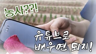 [더호미스]ep4.유튜브로 농사를 배우는 MZ청년들. ※쿠키영상 있음