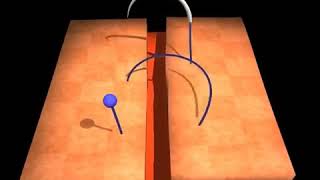 Suture Simulation 2010