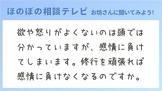 欲や怒りがよくないのは頭では分かっていますが、感情に負けてしまいます。修行を頑張れば感情に負けなくなるのですか。