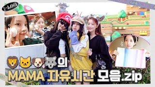 MAMA 자유시간 모음.zip [l-LOG] #43 🦁😺🐶🐺 | (여자)아이들 ((G)I-DLE)ㅣSUB