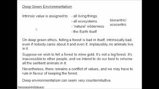 Environmental ethics and Sylvan's "Last Man" argument