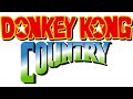 DK Island Swing - Donkey Kong Country (SNES) Music Extended