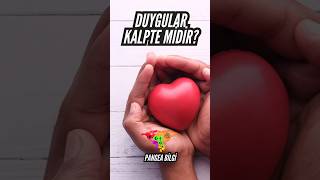 DUYGULAR KALPTE MİDİR? | Psikoloji #youtubeshorts #keşfet