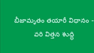 బీజామృతం తయారీ విధానం మరియు వరి విత్తనలు విత్తన శుద్ధి @naturalfarmingtelugu