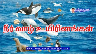 நீர் வாழ் உயிரினங்கள் - கடல் மிருகங்கள் காணொலி LEARN WATER ANIMALS WITH PICTURES VIDEO FOR KIDS