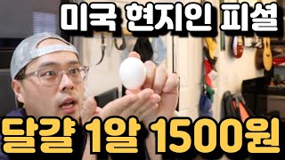 어제 H 마트 가서 달걀 1알에 1500원 주고 사왔습니다. - 미쳐버린 미국 계란 가격!