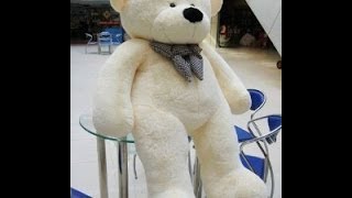 Joyfay Giant Teddy Bear 786