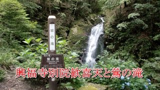 【静寂の森】興福寺別院歓喜天と鶯の滝～春日山原始林の水音～(re-take)150628