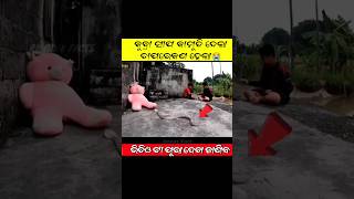 କୁବ୍ରା ସାପ କାମୁଡି ଦେଲା କଇଁଙ୍କି 😭 #shorts #youtubeshorts #odiagapa #odiastory #natiacomedy #viral