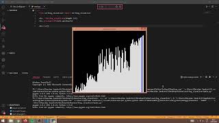 Sorting Visualizer in Python - Massimo Sandretti