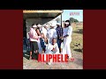 Aliphele