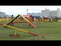 20110528fciインターナショナルアジリティー競技会ag2