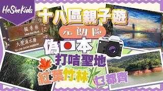 香港好去處🏝️ 免費親子遊玩🤩🤩 親子推介🚲  元朗偽日本打咭聖地 紅葉竹林乜都齊