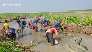 Incredible||খাল শুকিয়ে বিশাল শোল মাছের সাথে দেশি মাগুর শিং মাছ ধরা||Best Fishing 2025