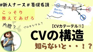 【基礎看護】CVカテーテルの構造知らないと？！＃看護師＃勉強＃新人ナース