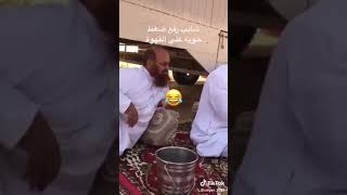 شيبان قلبوا على بعض في البر