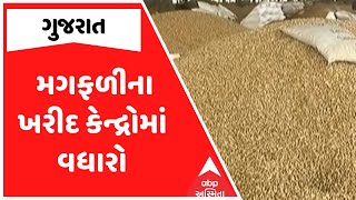 Gujarat Farmers | ખેડૂતો માટે ખુશીના સમાચાર, મગફળીના ખરીદ કેન્દ્રોમાં વધારો, જુઓ અહેવાલ