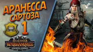 Total War: Warhammer 3 - (Легенда) - Пираты Сартозы | Аранесса #1