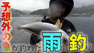 【雨釣り】雨の日ほど釣れるのか？予想外の魚がHIT！