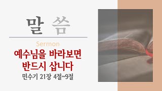 예수비젼교회 주일오후예배 2024.11.10