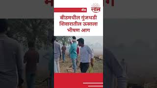 Beed SugarCane Farm Fire | गुंजथडी शिवारातील ऊसाला भीषण आग; 14 एकर ऊस जळून खाक #shorts