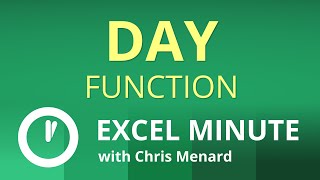 Excel DAY function | Excel One Minute Functions Explained
