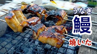 （飯テロ発動）夢の【うなぎかば焼き】焼いてみた！松茸ごはんも