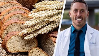 Paul Saladino MD on Why We Don't Need Fiber for a Healthy Microbiome