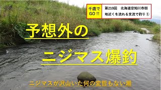 千歳でGO!! 第210回　北海道空知川市街地近くを流れる支流で釣り ①。ニジマスとイワナが釣れました。