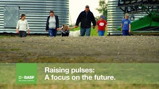 Raising Pulses: A focus on the future | BASF