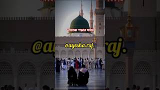 নামাজ পড়ার সময় যদি কারো ঘুম আসে। #shorts #Islamic #Makka madina #birds #namaj #sleeping