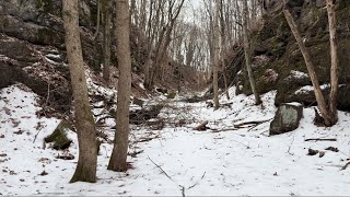 Hidden in plain view. PRR rock cut in Schuylkill Haven PA.