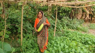 আজ হঠাৎ চাচির দেখা পাওয়া গেল