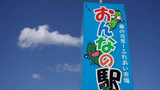 【沖縄旅行】お土産や食事するなら 恩納の駅[おんなの駅] がおすすめ 2020年秋