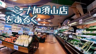 ニシナ加須山店をあるく