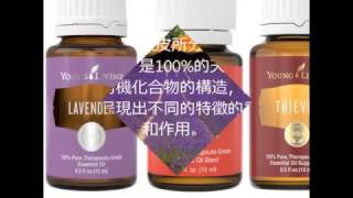 Young Living Essential Oil Sharing 悠樂芳精油分享 - Kids' asthma 哮喘