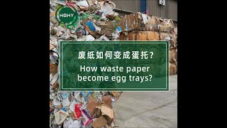 How waste paper become egg trays? Pulp molding egg tray machine#wastepaper #shorts
