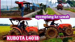 cara SOPIR TRAKTOR nyemplung ke SAWAH // KUBOTA L4018 rotary krx175.