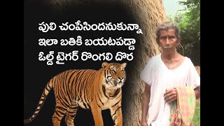 Old man spotted the tiger   ll  పులి మాతల్లి గురించి మరి అడక్కు    ll Tiger sighting ll   VarmaBook