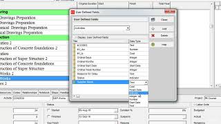 Primavera P6 Training - TOPIC 3 (General) - 7. User Defined Fields -UDFs