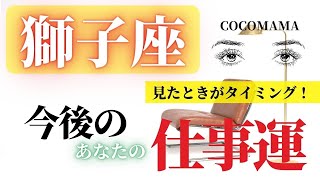 獅子座♌️ 【仕事運⭐】見たときがタイミング！　ココママの個人鑑定級タロット占い🔮