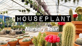 Houseplant Tour at Colasanti’s | Sjplants