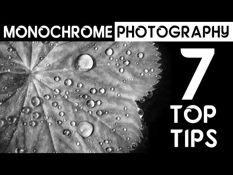 7 Top Tips for Better Monochrome Photography, Including How to Retouch Black and White