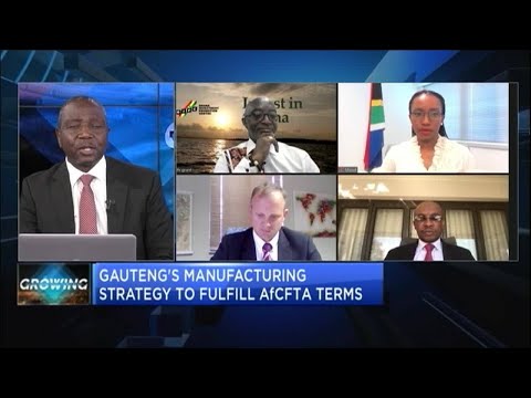 Unlocking Africa S Dynamic Possibilities Through The Afcfta Cnbc Africa