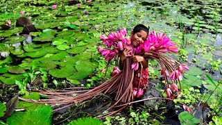 গ্রামের বিশাল বিল থেকে শাপলা উঠানোর সুন্দর একটি ভিডিও