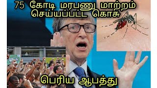 மரபணு மாற்றம் செய்யப்பட்ட கொசுக்கள், 😥 75 crores Genetically modified mosquitos 🙄